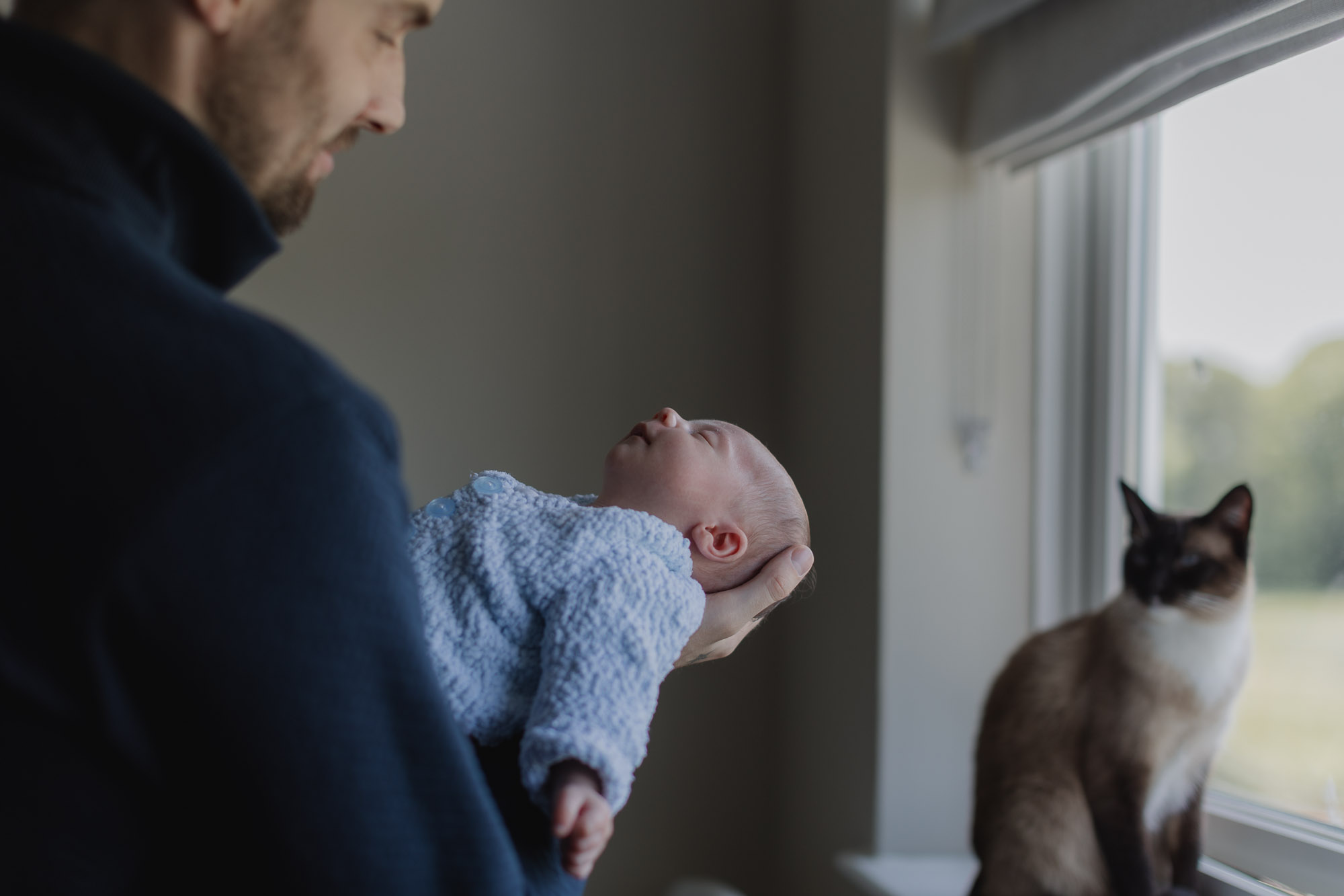 A father holding his newborn out in front of him and looking down at the baby while he sleeps. A siamese cat sits on the windowsill behind them, looking on, in a newborn photoshoot in Horsham.