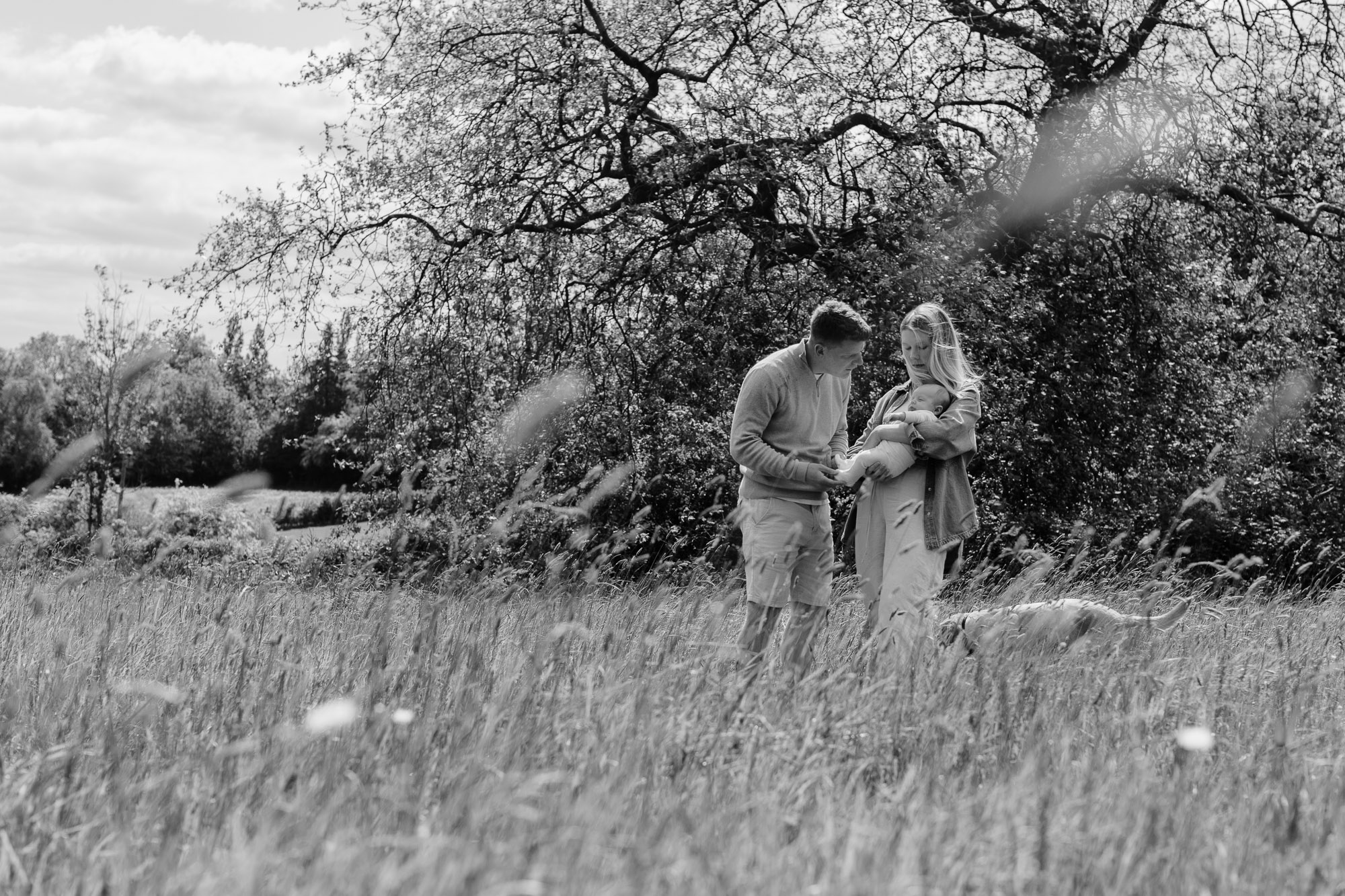A black and white image of a couple standing in a field while the mother holds her baby and the father leans over to look at him. Their Labrador is standing in the grass at their feet on an environmental newborn photoshoot in Horsham West Sussex.