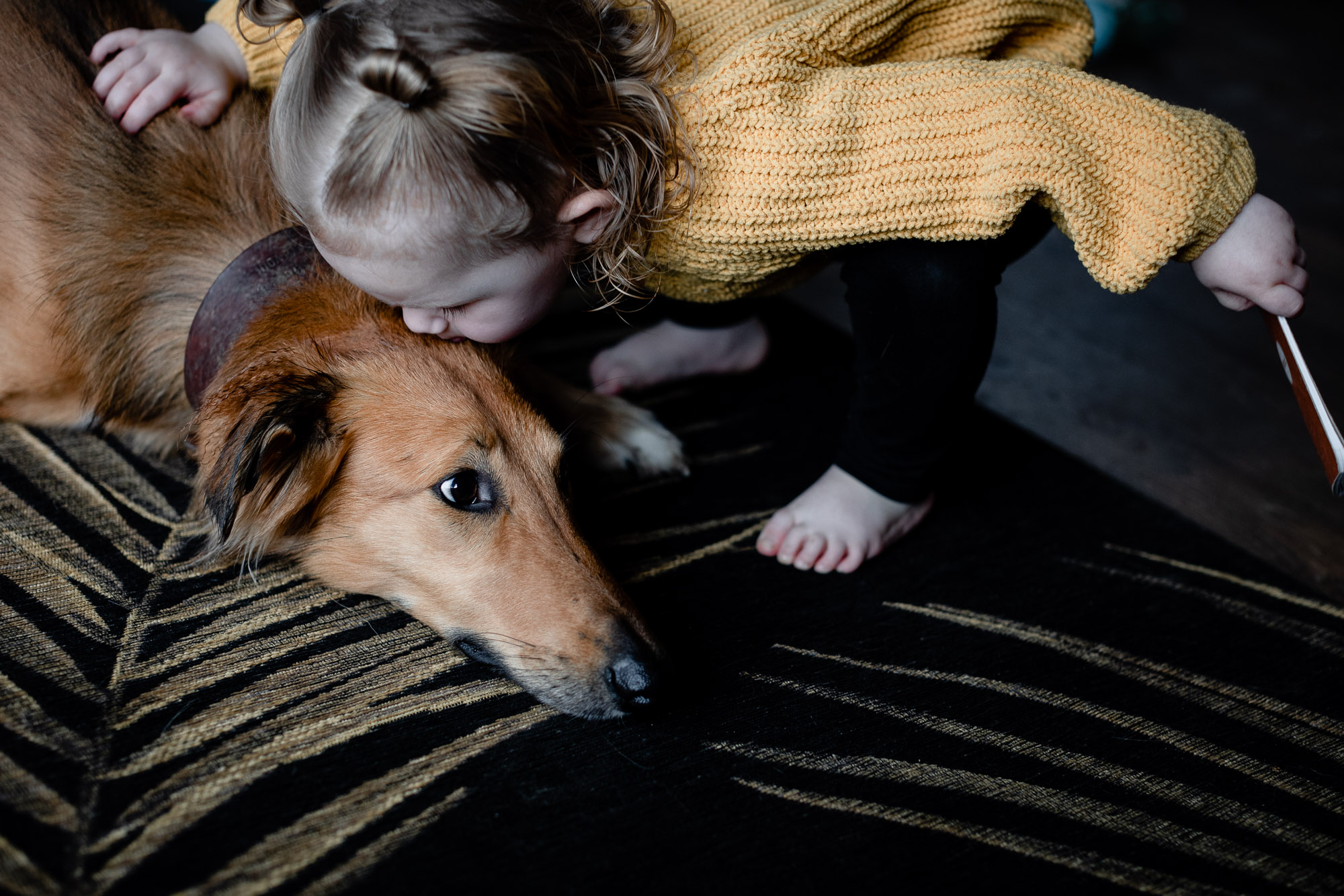 A little girl in a yellow jumper leaning over and kissing the family dog on a lifestyle newborn shoot in Horsham West Sussex